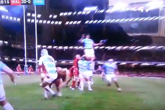 Video: Huge hit as Richard Hibbard of Wales crunches his Argentine opponent