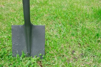 Get your hole in Longford; but it ain’t cheap