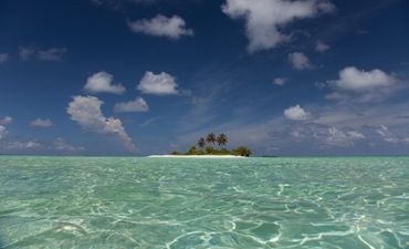 Man wakes up on a deserted island after heavy drinking session