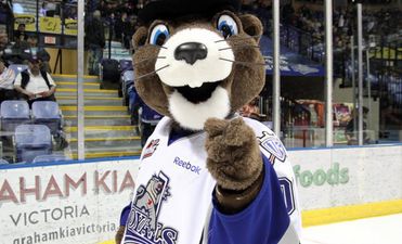Video: Marty the ice-hockey mascot gets dump tackled by a fan