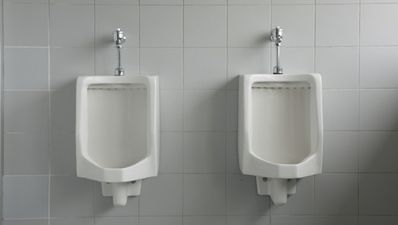 American physicists spend time (and money) figuring out how to eliminate urine ‘splashback’