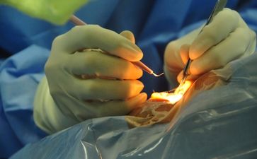 Extreme cheapskate – man to sell his testicle for new reality TV show