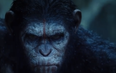 Video: The trailer for Dawn of the Planet of the Apes looks class
