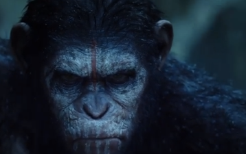 Video: The trailer for Dawn of the Planet of the Apes looks class
