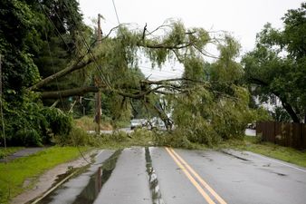 Pic: The most unintentionally ‘Ooh Matron’ AA Roadwatch Twitter post you’ll see today