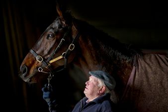 This horse trainer might have just offered us the headline of the year