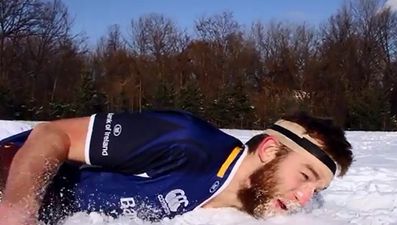 Video: Leinster fan exiled in Canada makes brilliant video plea to be brought home for Northampton game