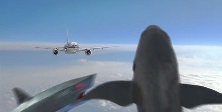 Video: The terribly brilliant trailer for Mega Shark Vs Mecha Shark is here