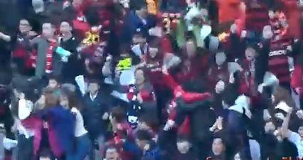 Video: Commentators go crazy as Pohang Steelers win South Korean league with last-gasp almighty goalmouth scramble
