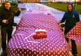 These Irish lads have brilliantly covered their neighbour’s car in festive wrapping paper… as you do