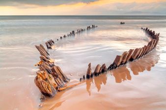 Could a ghost ship full of cannibal rats land in Ireland?