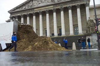 Gallery: Oh Merde… Big pile of sh*t dumped outside the French national parliament