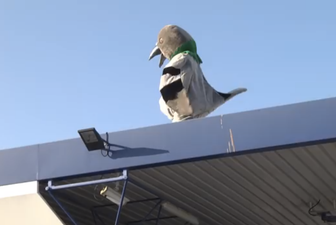 Video: Check out the hilarious teaser for Rémi Gaillard’s upcoming movie