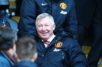 REPORT: Alex Ferguson could return to manage Manchester United