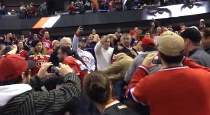 Vine: Fans brawl in the stands because no amount of fighting is enough at an NHL game