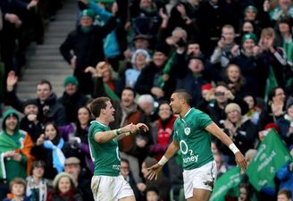 Zebo and Gilroy left out as Schmidt snips Six Nations squad