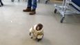 The IKEA Monkey game is surprisingly addictive