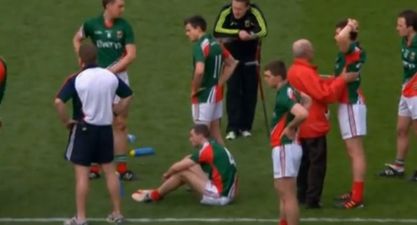 Video: Check out the trailer for this documentary about Mayo’s curse and their quest for Sam