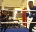 Video: Conor McGregor continues rehab by taking on a young pretender in the new SBG gym