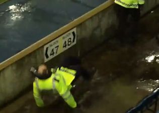 Video: Fight breaks out at Millwall v Sheffield Wednesday game, policeman hilariously falls in a puddle