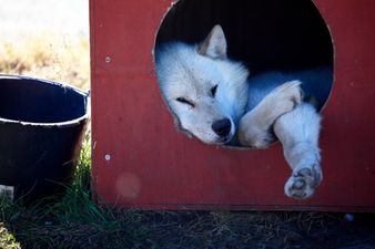 Gallery: Man leaves his phone in the pub, barman finds dozens of angry texts from the wife