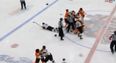 Video: Ice hockey brawl ends with a ridiculous number of penalties handed out