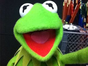 “Hi-ho, Instagram gang!” – these Muppet selfies are guaranteed to brighten up your day