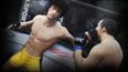 Bruce Lee will be a playable character in the upcoming UFC game by EA