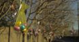 Video: Kilrush woke up this morning to find 30,000 Easter eggs distributed around the town
