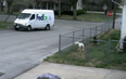 Video: CCTV catches hilarious incident involving run-away FedEx van and extremely excited dogs