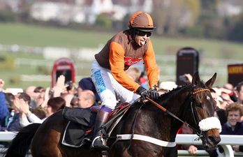 Hayley O’Connor marks your card for Gold Cup day at Punchestown