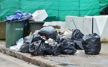 Video: Mexican bin men use ingenious, but dangerous, rubbish collection method