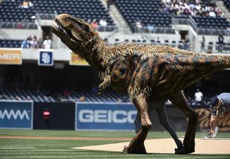 Video: Watch as a T-Rex ‘throws’ the first pitch at this baseball game