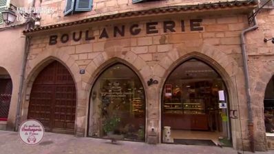 Video: Cat uses up one of its nine lives in hilarious French TV clip