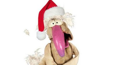 Labour European election candidate has a dig at Luke Flanagan and Dustin the Turkey in one tweet