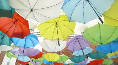 Video: Lidl Ireland is revealed as the secret behind Dublin’s Secret Garden