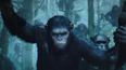 Video: Feast your eyes on the latest brilliant trailer for Dawn of the Planet of the Apes