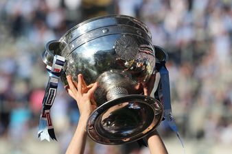 Pic: An incredible ten-foot high replica of the Sam Maguire built in stone in Donegal