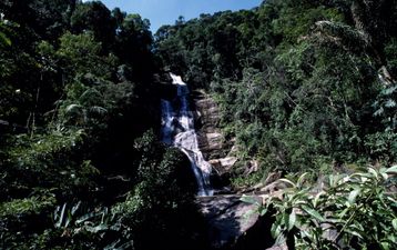 Incredible Brazilian Landmarks, No 4: Tijuca Forest
