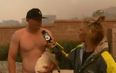 Video: Attractive reporter covering outbreak of wildfires gets asked out live on air by a topless guy holding a dog