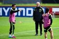 Video: Cesc Fabregas and Vicente del Bosque argue at Spain training ahead of final game