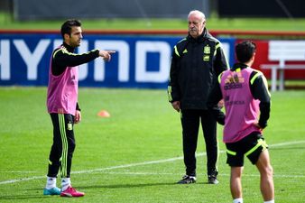 Video: Cesc Fabregas and Vicente del Bosque argue at Spain training ahead of final game