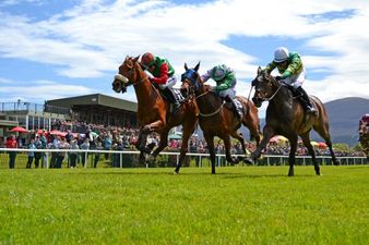 JOE’s top five reasons to head along to the Killarney Festival