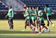 World Cup preview, Group F: Nigeria