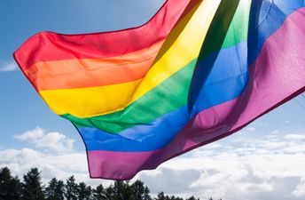 Same-sex marriage referendum set to take place in the first two weeks of May