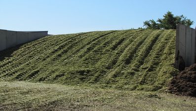Pic: GAA manager texts to call off a match tonight for the best reason ever; silage