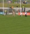 Pics: Streaker interrupts Meath v Carlow game, does pull-ups on the crossbar