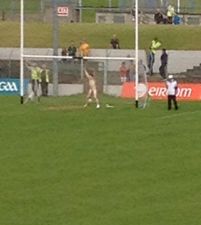Pics: Streaker interrupts Meath v Carlow game, does pull-ups on the crossbar