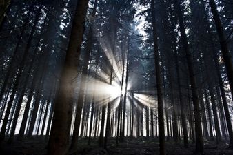 JOE’s five great Outdoor Activities in Ireland