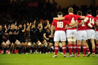 Video: New Zealand players go wild after Wales under 20 player does his version of the Haka